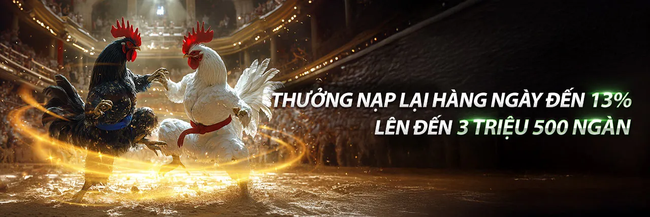 Đá Gà 5fit Đăng Nhập 2026 - Trận đấu gà kịch tính tại đấu trường